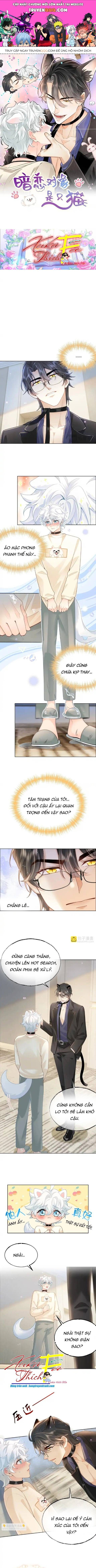 Crush Của Tôi Là Mèo Chapter 7 - 1