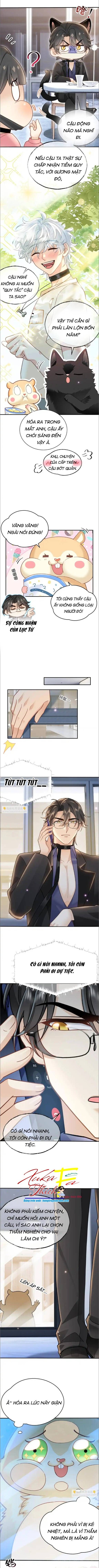 Crush Của Tôi Là Mèo Chapter 8 - 2