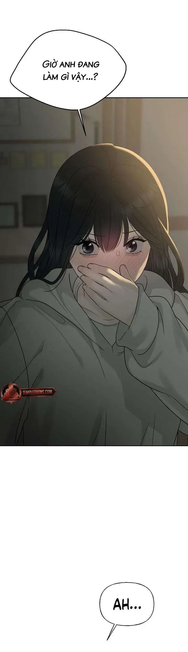 Sự Thâm Nhập Dịu Dàng Chapter 13 - 12