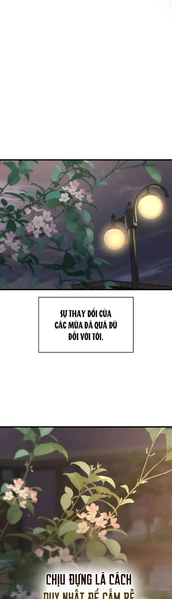 Sự Thâm Nhập Dịu Dàng Chapter 28 - 5