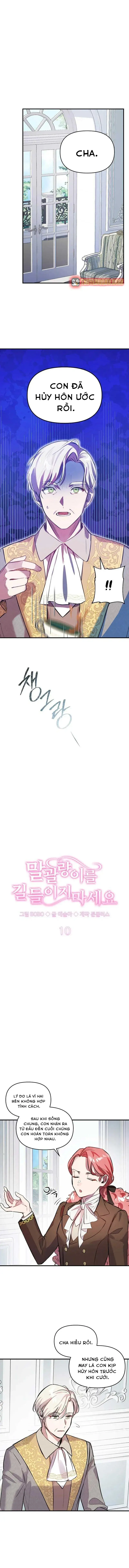 Đừng Thuần Hóa Cô Nàng Đanh Đá Chapter 10 - 4