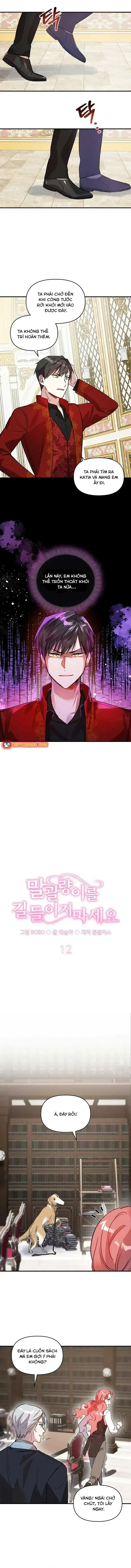 Đừng Thuần Hóa Cô Nàng Đanh Đá Chapter 12.6 - 2