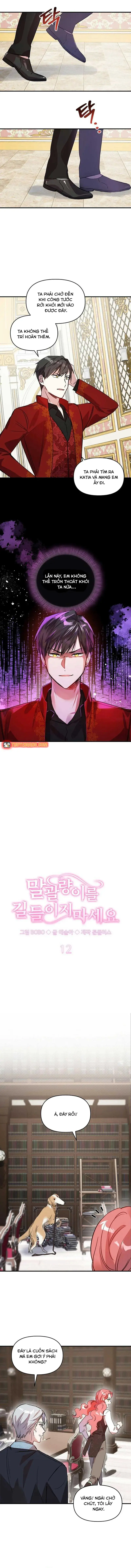 Đừng Thuần Hóa Cô Nàng Đanh Đá Chapter 12 - 4