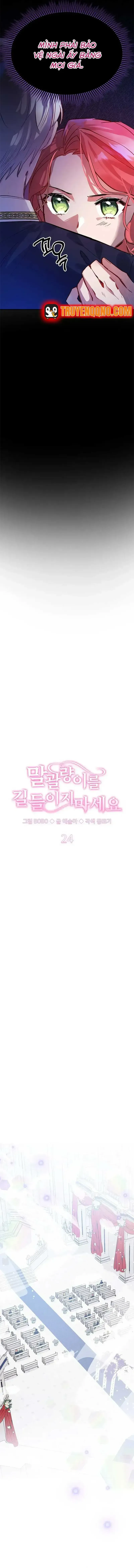 Đừng Thuần Hóa Cô Nàng Đanh Đá Chapter 24.6 - 7