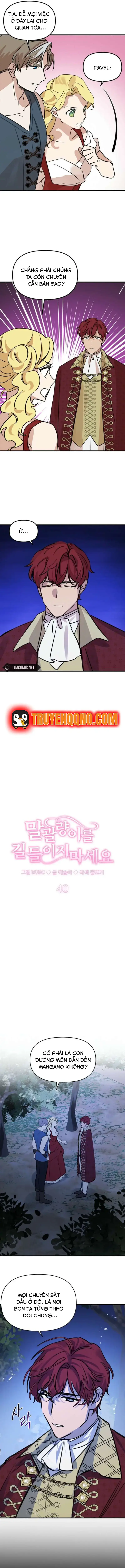 Đừng Thuần Hóa Cô Nàng Đanh Đá Chapter 40 - 9