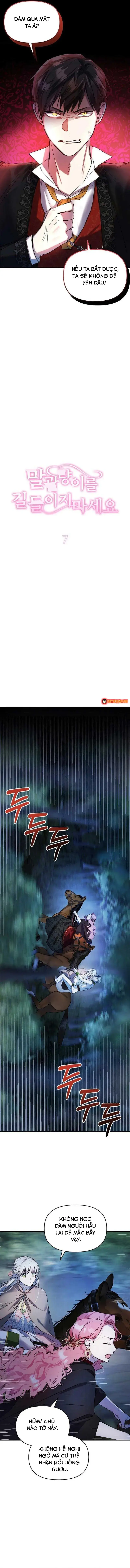 Đừng Thuần Hóa Cô Nàng Đanh Đá Chapter 7 - 6