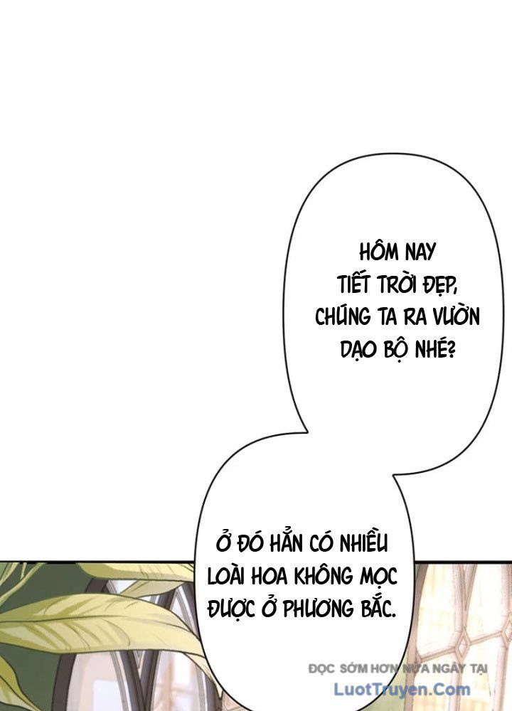 Siêu Trộm Kỹ Năng Cấp Cheat Chapter 5 - 29