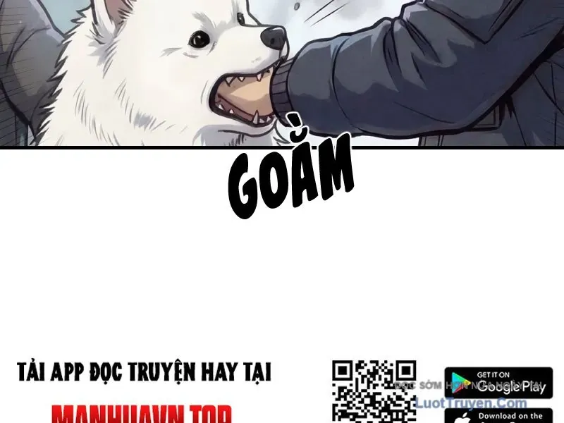 Toàn Cầu Băng Phong : Thu Nhận Hầu Gái, Bắt Đầu Từ Cô Vợ Kiêu Ngạo Nhà Bên Chapter 57 - 47