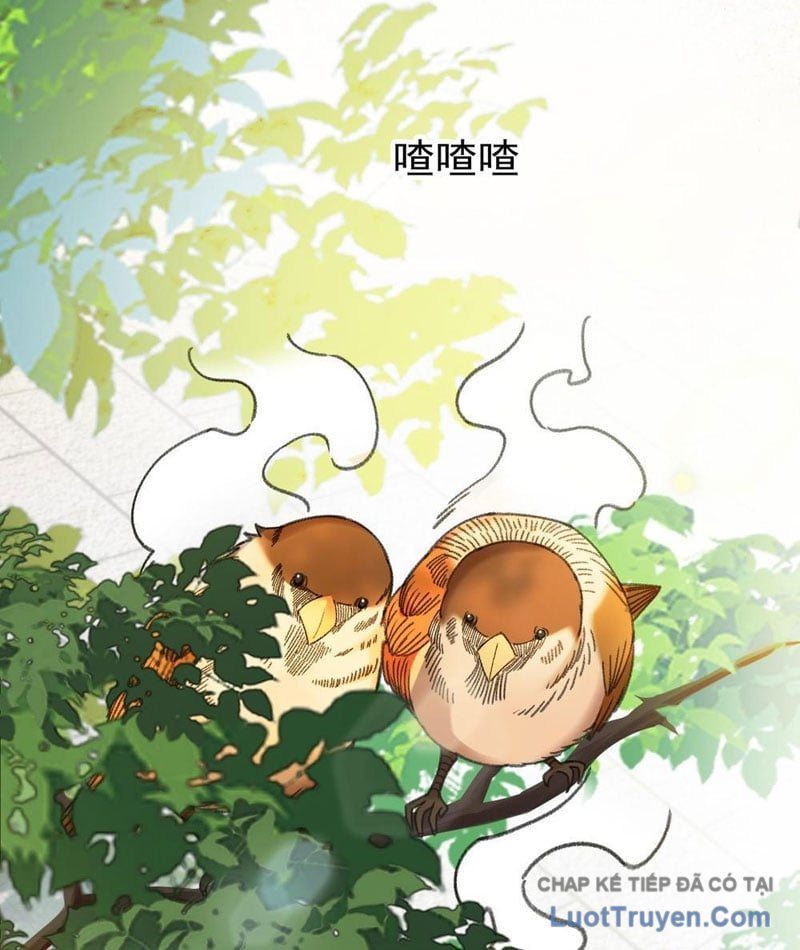 Mạt Thế Cao Ôn: Ta Dựa Vào Phòng An Toàn Thành Thần Chapter 4 - 105