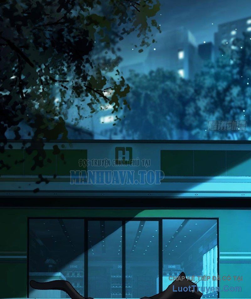 Mạt Thế Cao Ôn: Ta Dựa Vào Phòng An Toàn Thành Thần Chapter 4 - 90