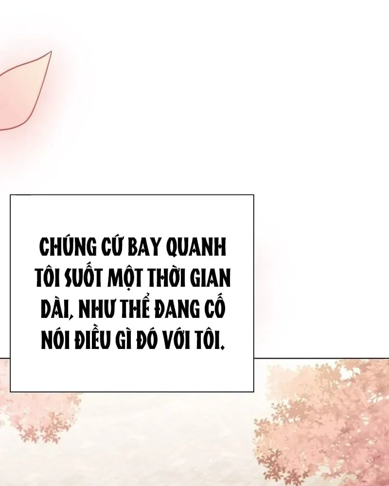 Chính Trị Gia Nhìn Thấu Vận Mệnh Chapter 1 - 20