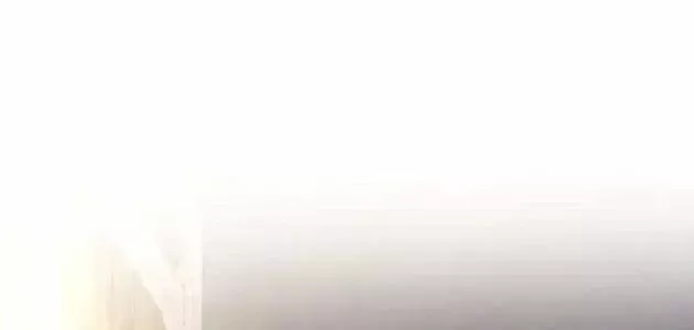 Chính Trị Gia Nhìn Thấu Vận Mệnh Chapter 12 - 124