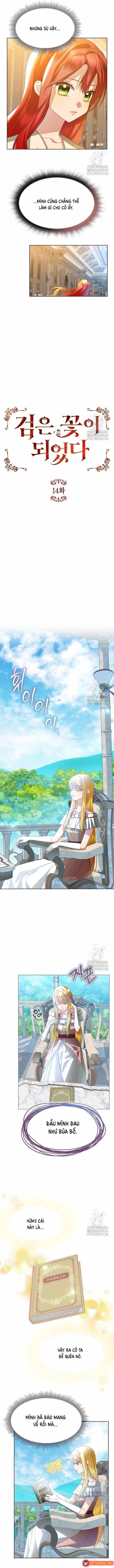 Ta Đã Hóa Thành Hắc Hoa Chapter 14 - 7