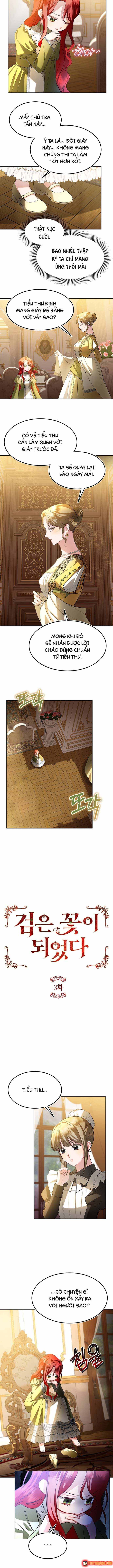 Ta Đã Hóa Thành Hắc Hoa Chapter 3 - 3