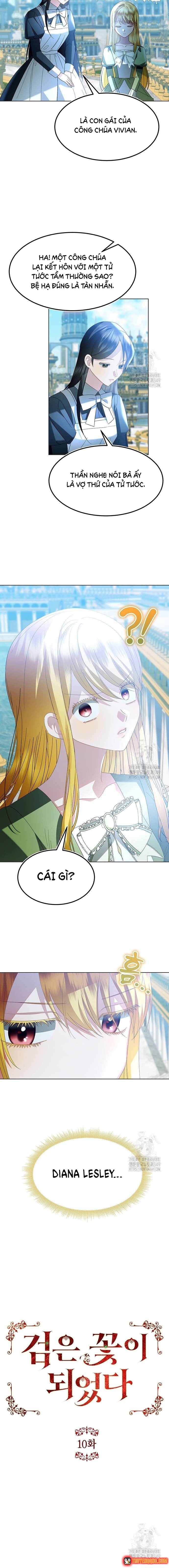 Ta Đã Hóa Thành Hắc Hoa Chapter 10 - 7
