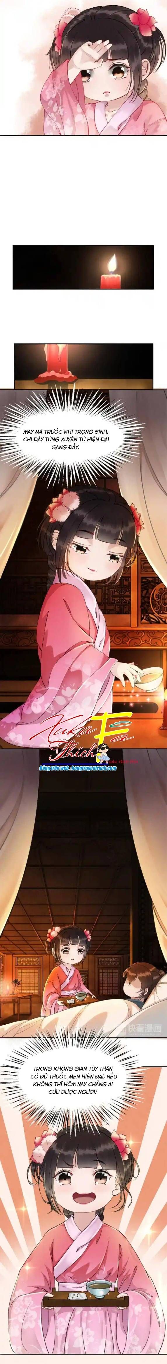 Hoàng Tỷ Của Ta Không Phải Dạng Dễ Bắt Nạt Chapter 2 - 15