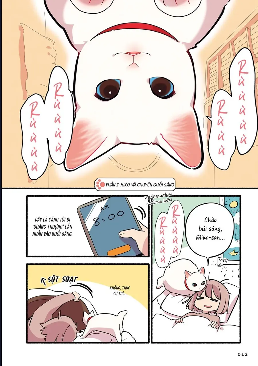Miko, cô mèo trắng muốn được yêu thương Chapter 2 - 2