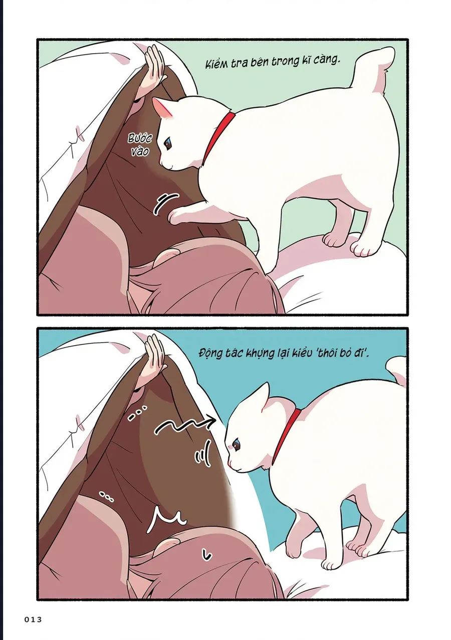 Miko, cô mèo trắng muốn được yêu thương Chapter 2 - 3