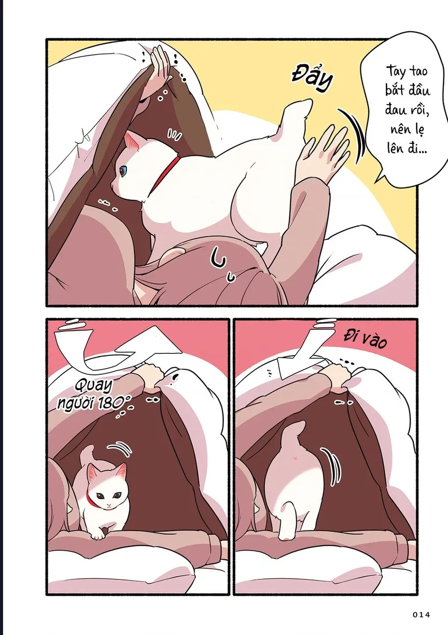 Miko, cô mèo trắng muốn được yêu thương Chapter 2 - 4