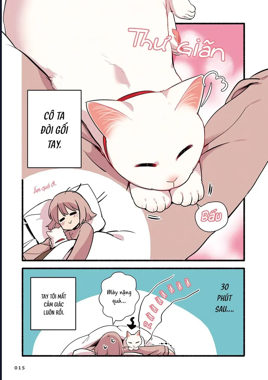 Miko, cô mèo trắng muốn được yêu thương Chapter 2 - 5