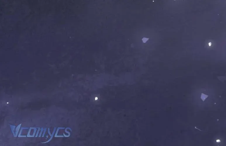 Cùng Làm Những Chuyện Điên Rồ Chapter 10 - 113