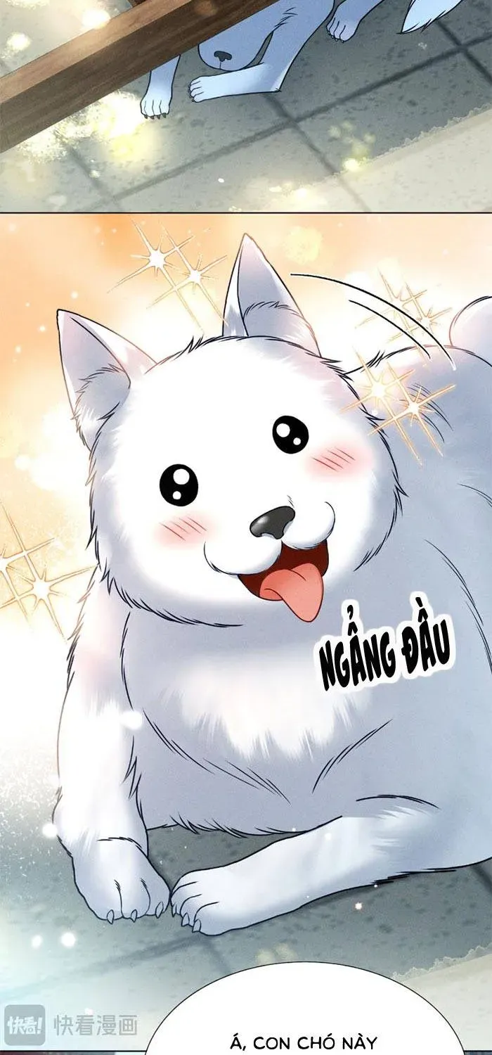 Tiểu Gia Chủ Tám Tuổi Gánh Cả Gia Tộc Chapter 15 - 6