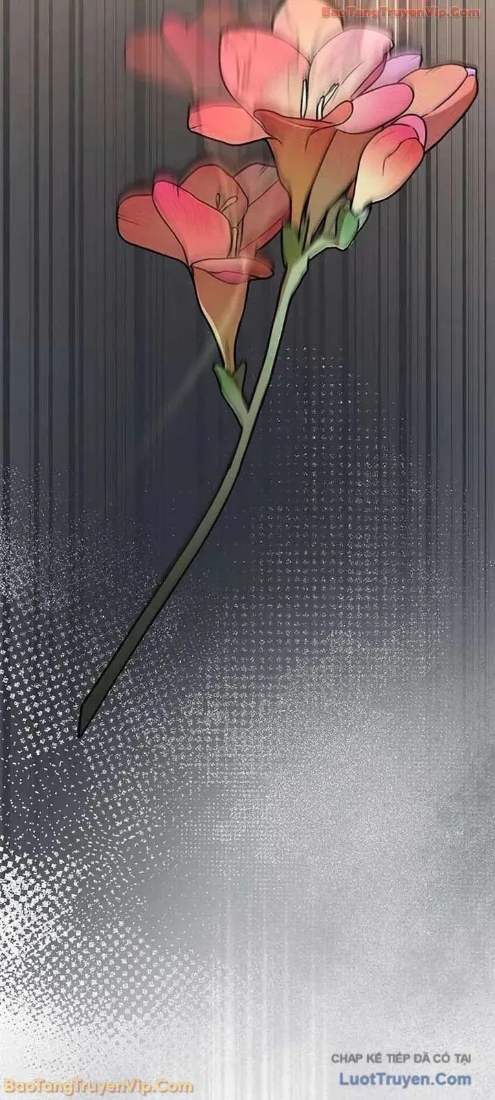 Cẩm Nang Giáo Hóa Các Tiểu Thư Quý Tộc Chapter 11 - 97