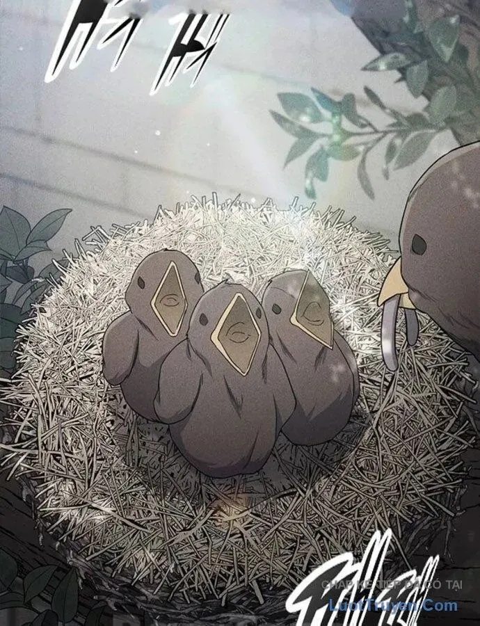 Cẩm Nang Giáo Hóa Các Tiểu Thư Quý Tộc Chapter 9 - 3