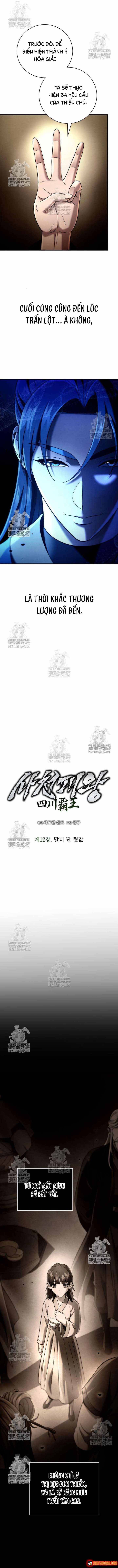 Tứ Xuyên Bá Vương Chapter 12 - 8