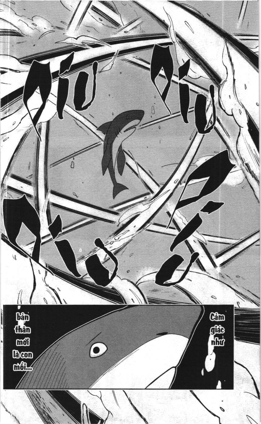 Mashle (Nxb Kim Đồng) Chapter 20 - 5