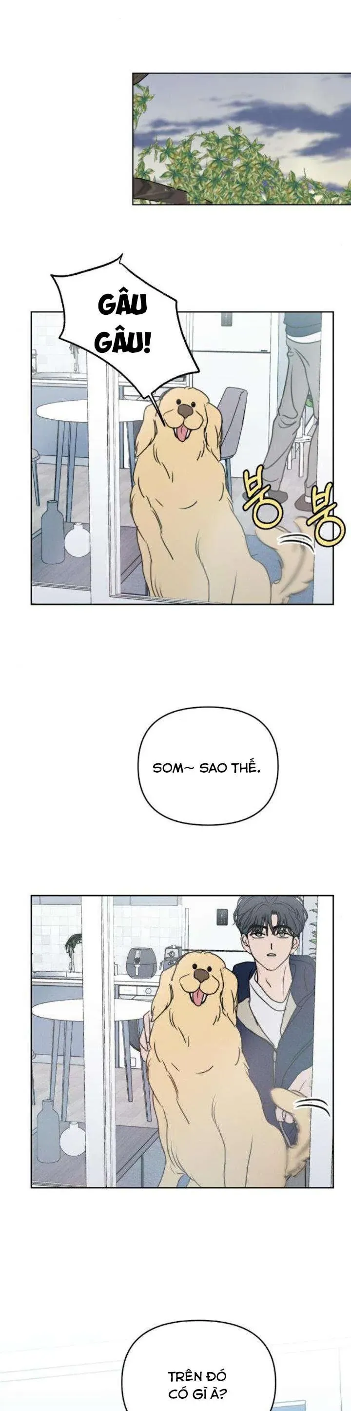 Muốn Bị Lừa Dối Chapter 20 - 40