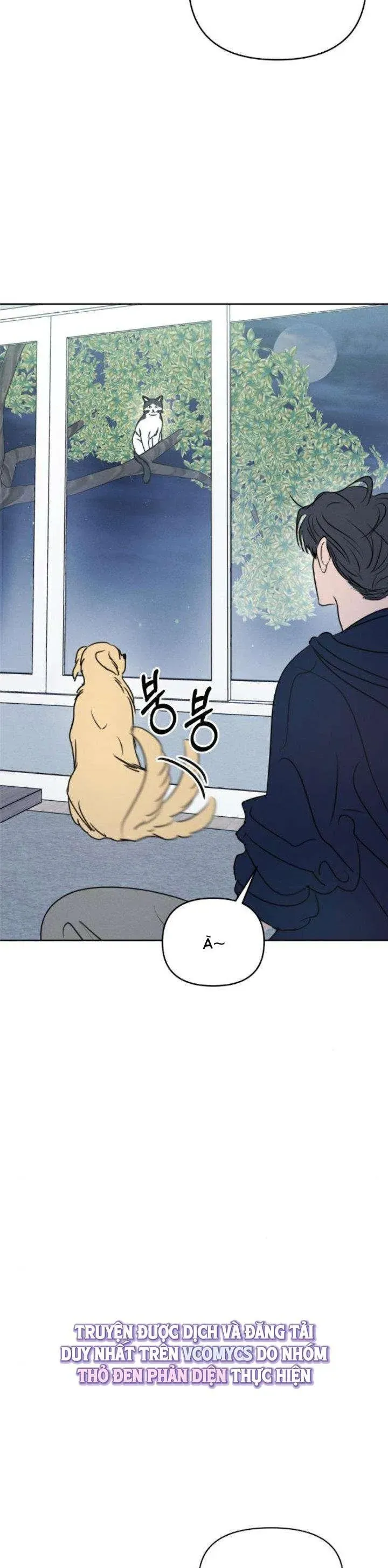 Muốn Bị Lừa Dối Chapter 21 - 12