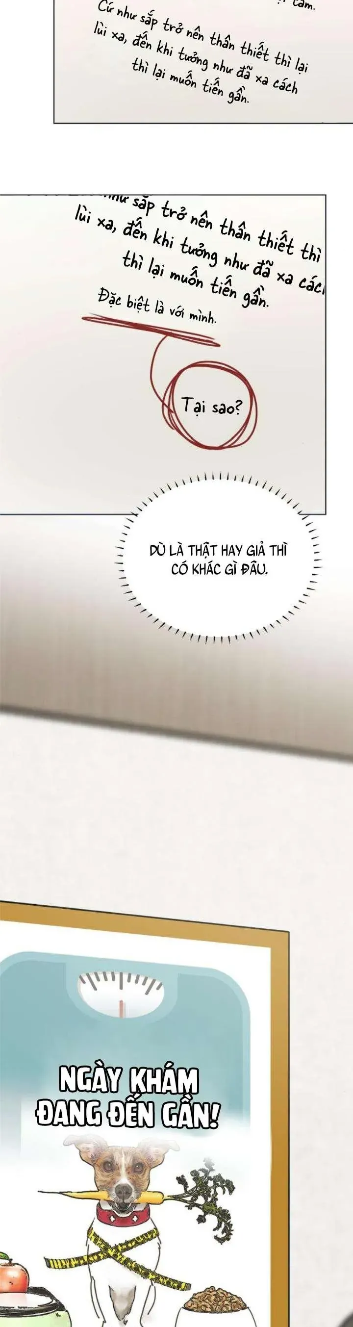 Muốn Bị Lừa Dối Chapter 33 - 15