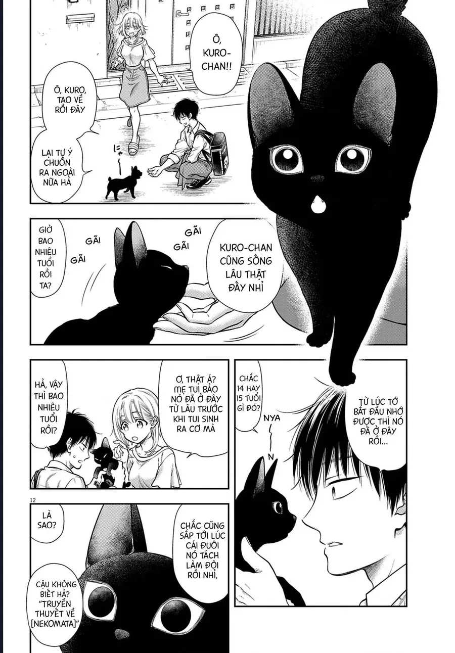 Ta Rủa 7 Đời Nhà Cậu Đấy, Hãy Mau Kết Hôn Đi Chapter 1 - 13