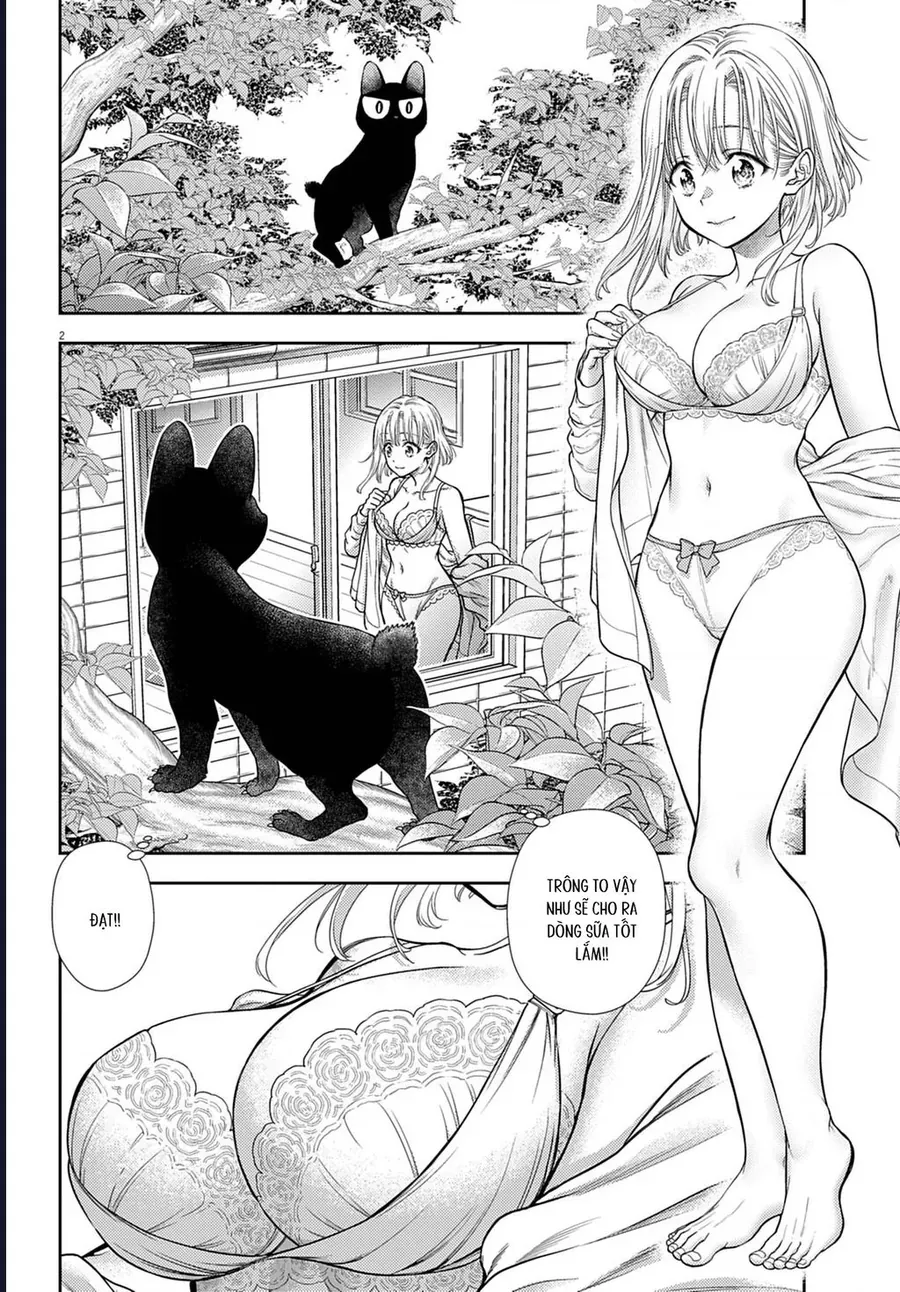 Ta Rủa 7 Đời Nhà Cậu Đấy, Hãy Mau Kết Hôn Đi Chapter 2 - 3