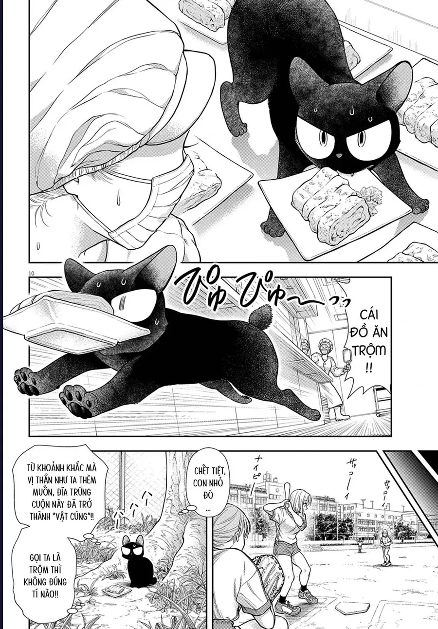 Ta Rủa 7 Đời Nhà Cậu Đấy, Hãy Mau Kết Hôn Đi Chapter 3 - 12