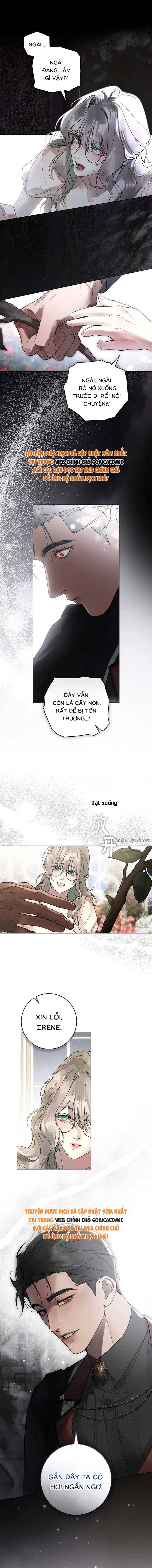 Hôn Ước Đổi Mạng Chapter 8 - 13