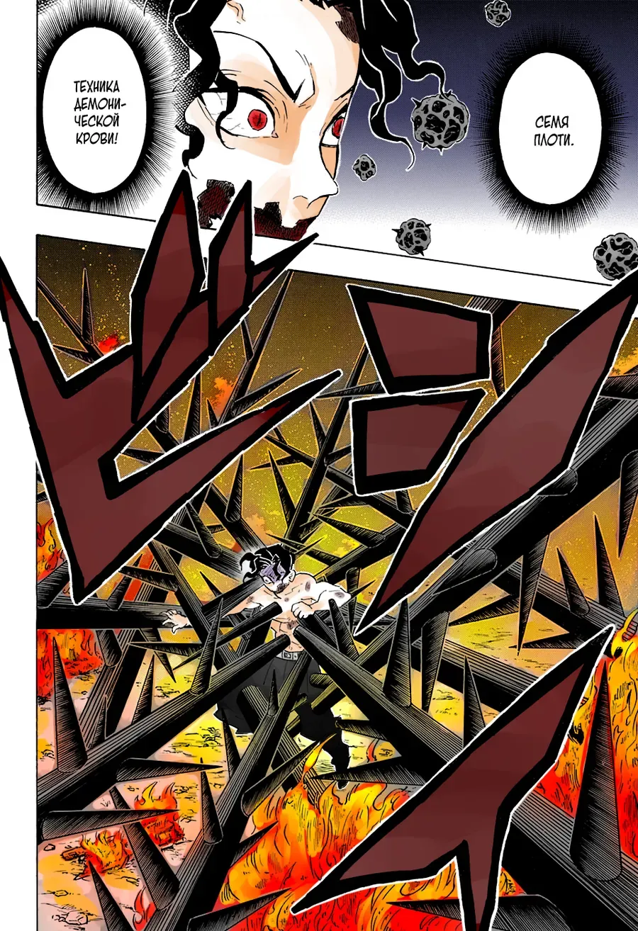 Thanh Gươm Diệt Quỷ (Truyện Màu) Chapter 138 - 13