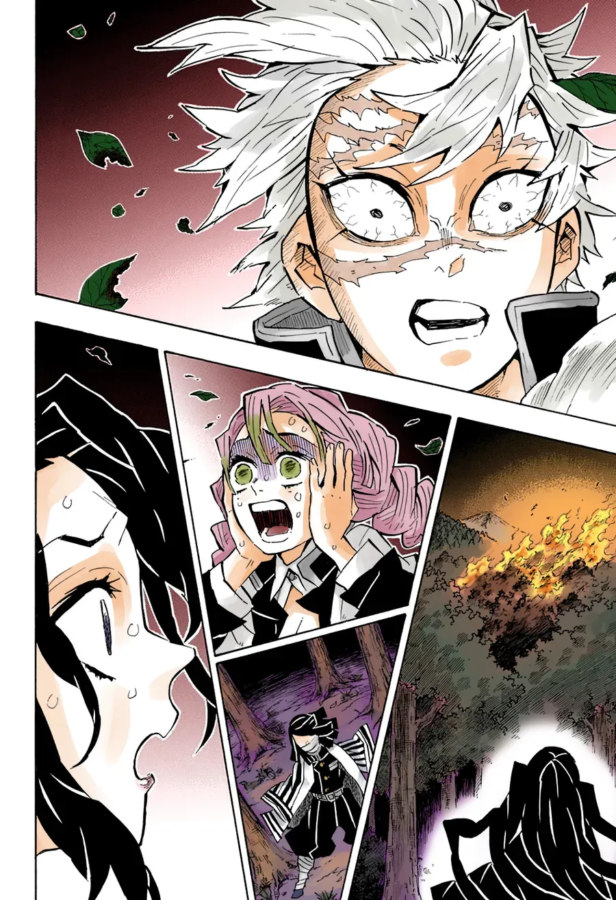 Thanh Gươm Diệt Quỷ (Truyện Màu) Chapter 138 - 7