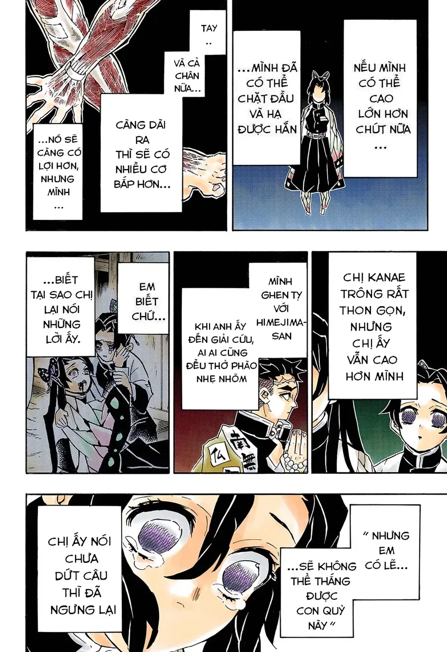 Thanh Gươm Diệt Quỷ (Truyện Màu) Chapter 142 - 10