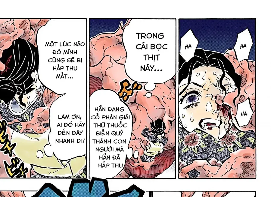 Thanh Gươm Diệt Quỷ (Truyện Màu) Chapter 146 - 37