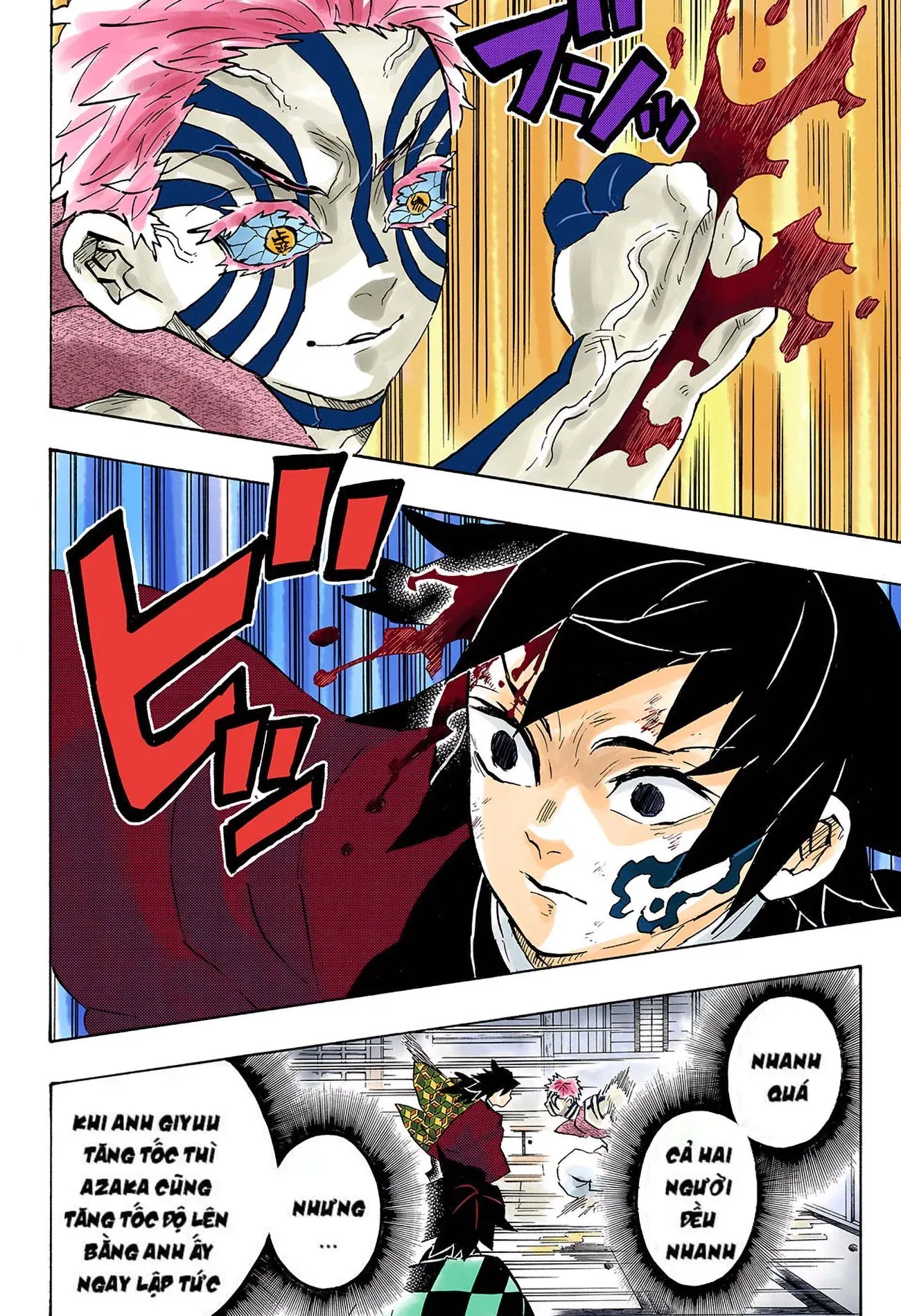 Thanh Gươm Diệt Quỷ (Truyện Màu) Chapter 150 - 8