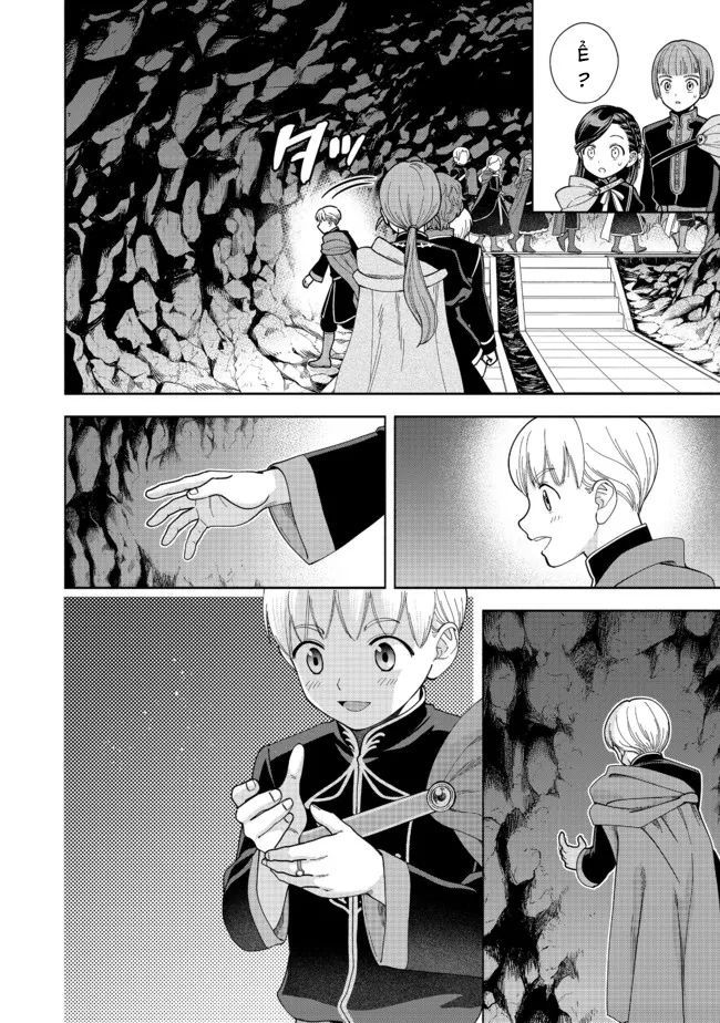 Honzuki No Gekokujou: Dai 4-Bu Kizokuin No Toshokan O Sukuitai! Chapter 14 - 12