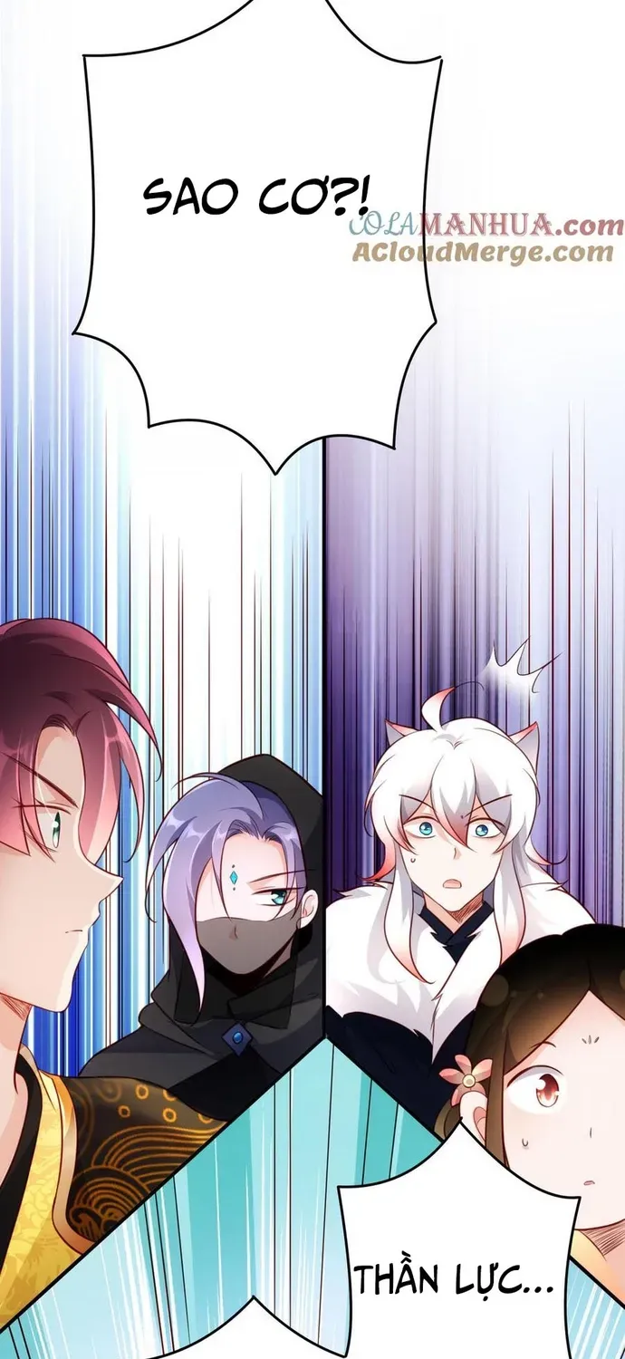 Ngàn Vàng Không Đổi Chapter 118 - 17