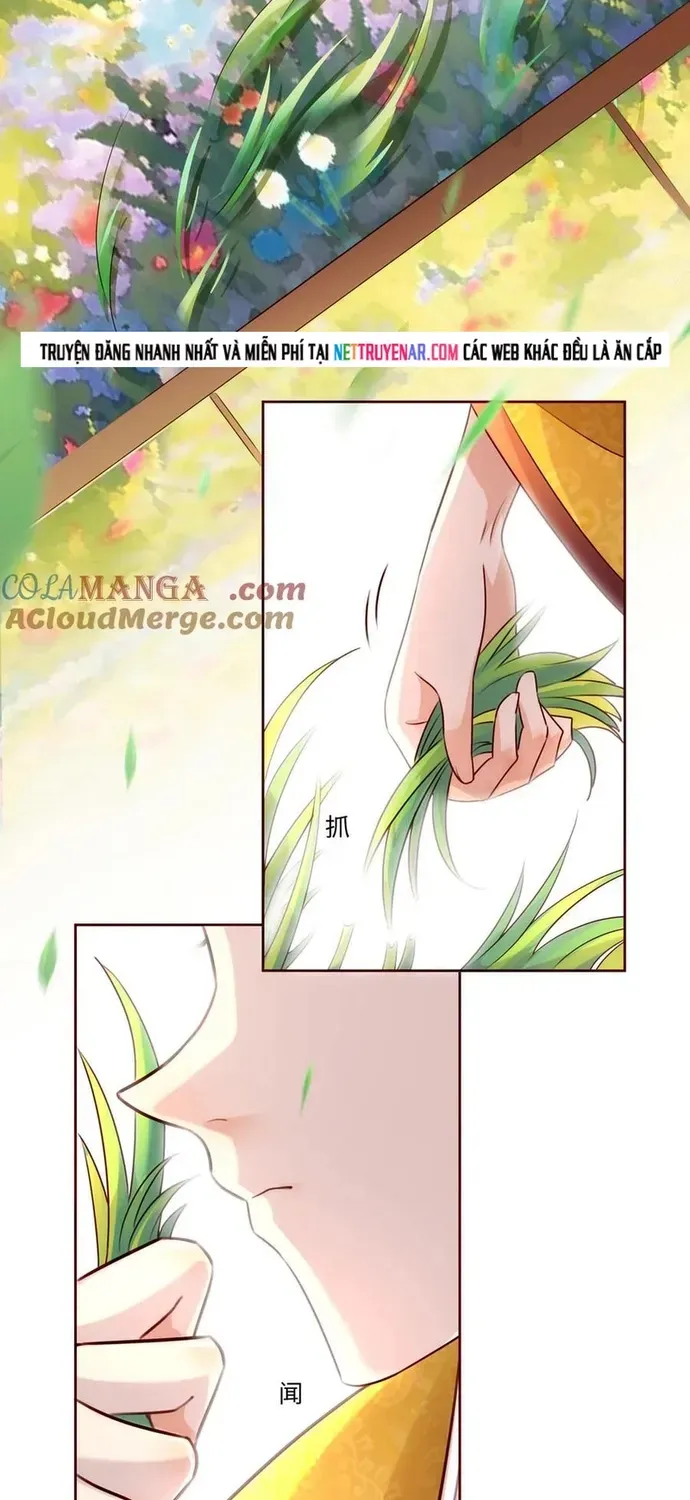 Ngàn Vàng Không Đổi Chapter 127 - 12