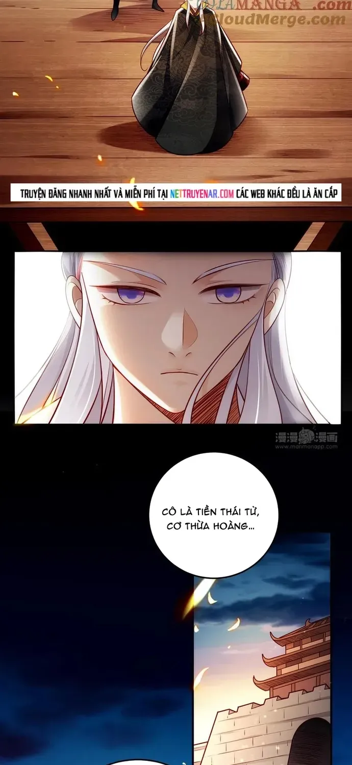 Ngàn Vàng Không Đổi Chapter 129 - 13