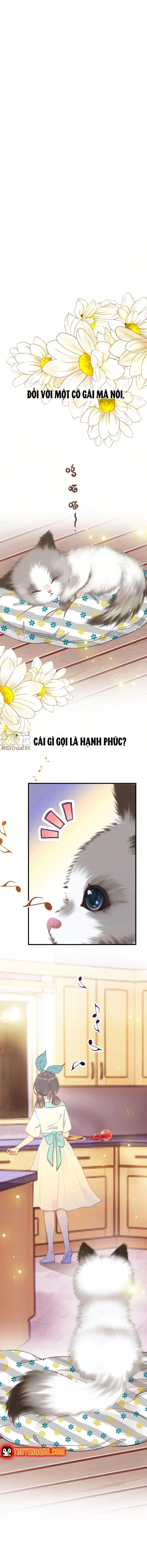 Xách Mèo Vào Ở Chapter 1 - 3