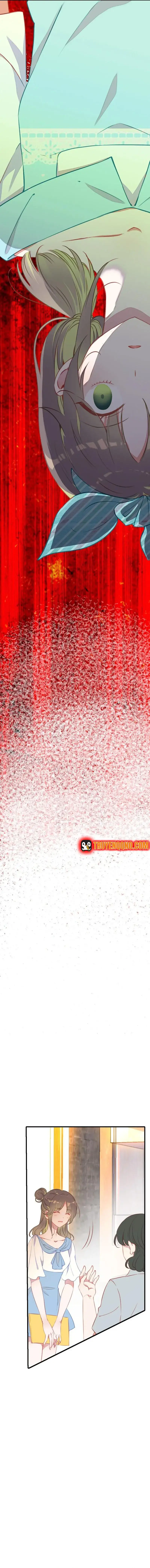 Xách Mèo Vào Ở Chapter 1 - 8