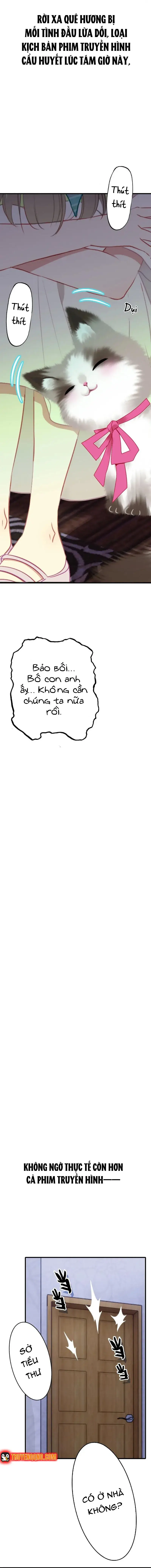 Xách Mèo Vào Ở Chapter 1 - 13