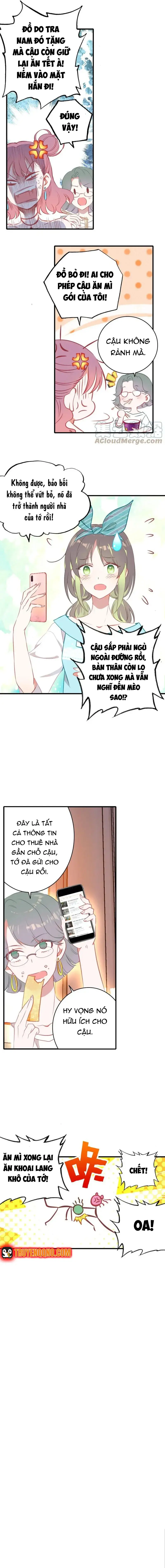 Xách Mèo Vào Ở Chapter 1 - 19